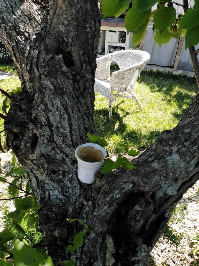 Nonna Dora Bed and Breakfast Muros Εξωτερικό φωτογραφία